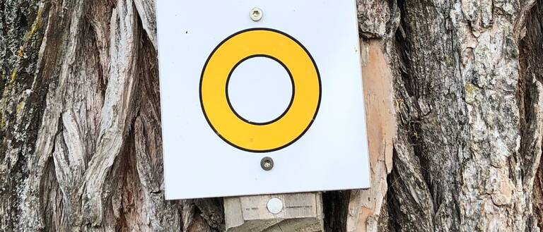 Ein quadratisches Schild mit einem gelben Kreis in der Mitte ist an einem Baumstamm befestigt. Ein quadratisches Schild mit einem gelben Kreis in der Mitte ist an einem Baumstamm befestigt.