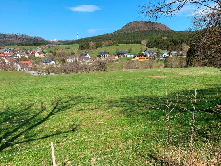 Eine grüne Wiese erstreckt sich vor einem Dorf mit verstreuten Häusern, das am Fuße eines bewaldeten Hügels liegt, unter einem klaren blauen Himmel.