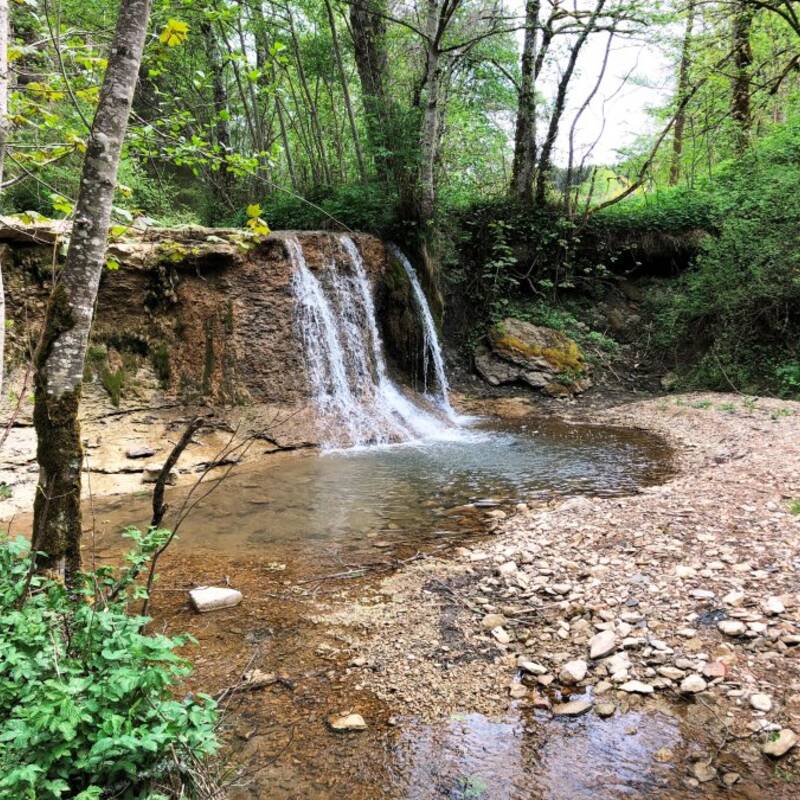 Ein kleiner Wasserfall fließt in einen klaren Teich in einem von Bäumen umgebenen Waldgebiet.